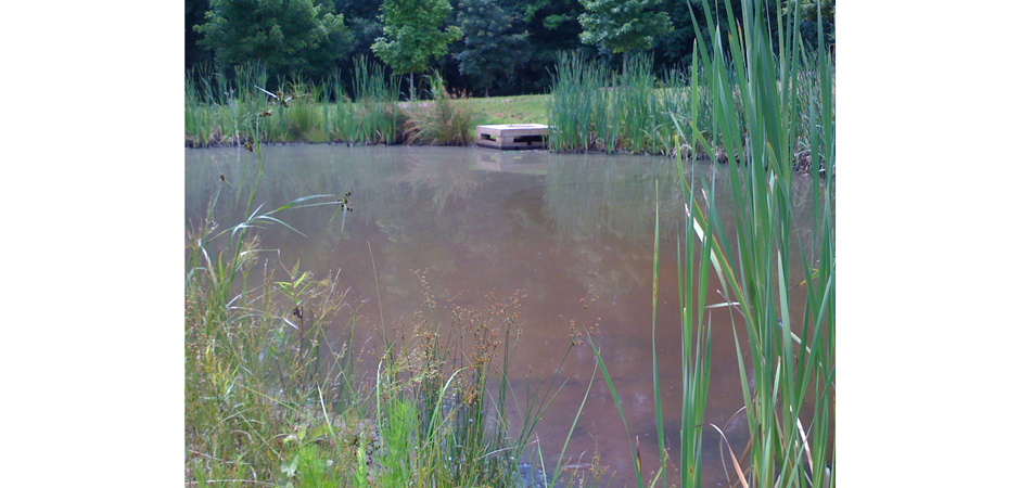 Inspection of Stormwater Ponds, Conveyance Systems, and Underground Vaults